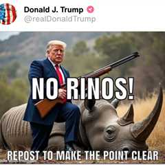 The Huge Herd of RINOs in Congress