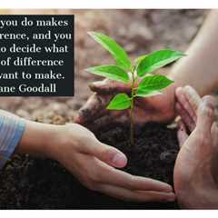 Earth911 Inspiration: What Kind of Difference Will You Make?