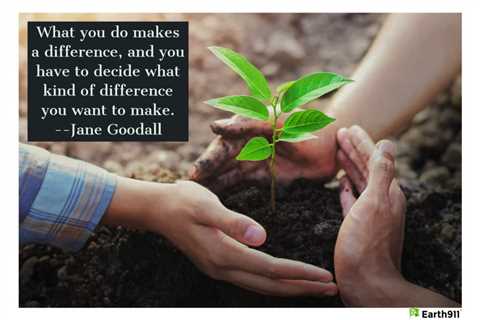 Earth911 Inspiration: What Kind of Difference Will You Make?