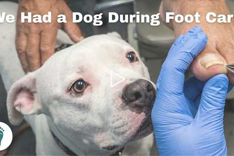 We Had a Surprise Guest During Foot Care 🐶👣
