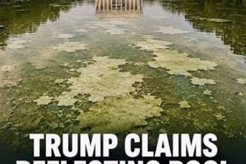 Trump and Vandalism