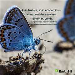 Earth911 Inspiration: What Provides Survives — Simon M. Lamb