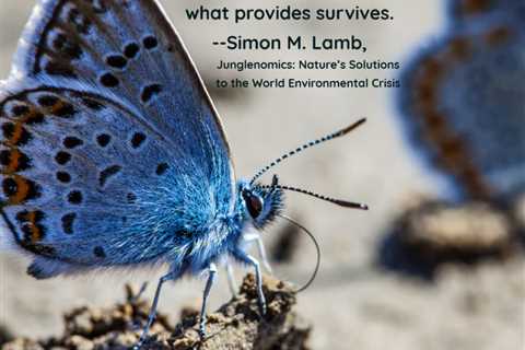 Earth911 Inspiration: What Provides Survives — Simon M. Lamb