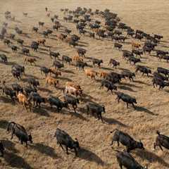 How safeguarding land protects our future