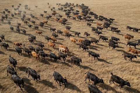 How safeguarding land protects our future